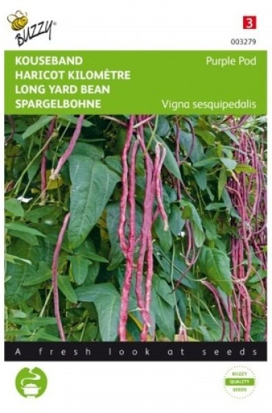 003279 tahava fazula fialova_500x500